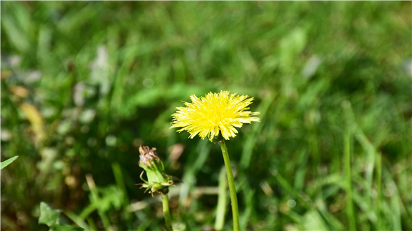 20190815123103_89167.jpg DSC_0211.jpg