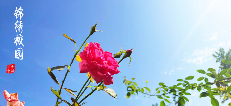 20190815123355_44907.jpg 1234.jpg